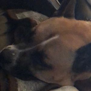 Meet your Posher, Star